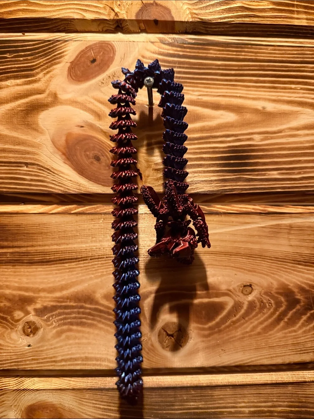 Multi color 3D printed Dragon fidget